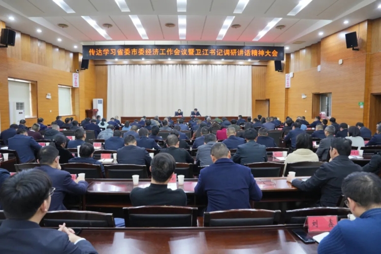 我区召开传达学习省委市委经济工作会议暨省委副书记、岳阳市委书记谢卫江调研讲话精神大会