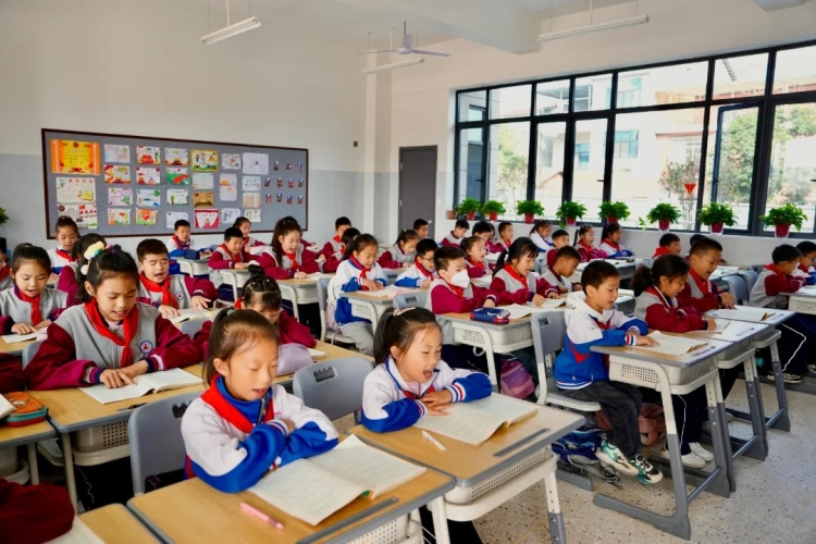 云溪区:实干赋能,推动教育从均衡到优质升级