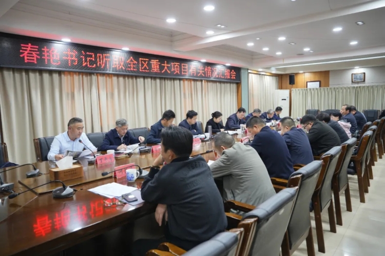 蒋春艳专题听取全区重大项目有关情况汇报