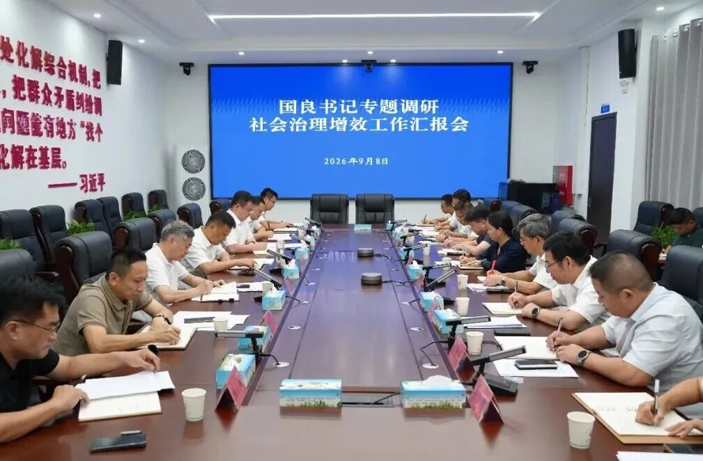 吴国良专题调研社会治理增效工作