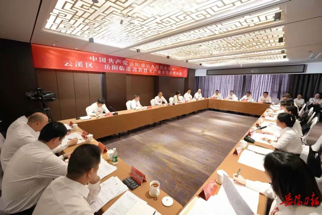 谢卫江参加云溪区、岳阳临港高新区代表团和岳阳楼区代表团讨论